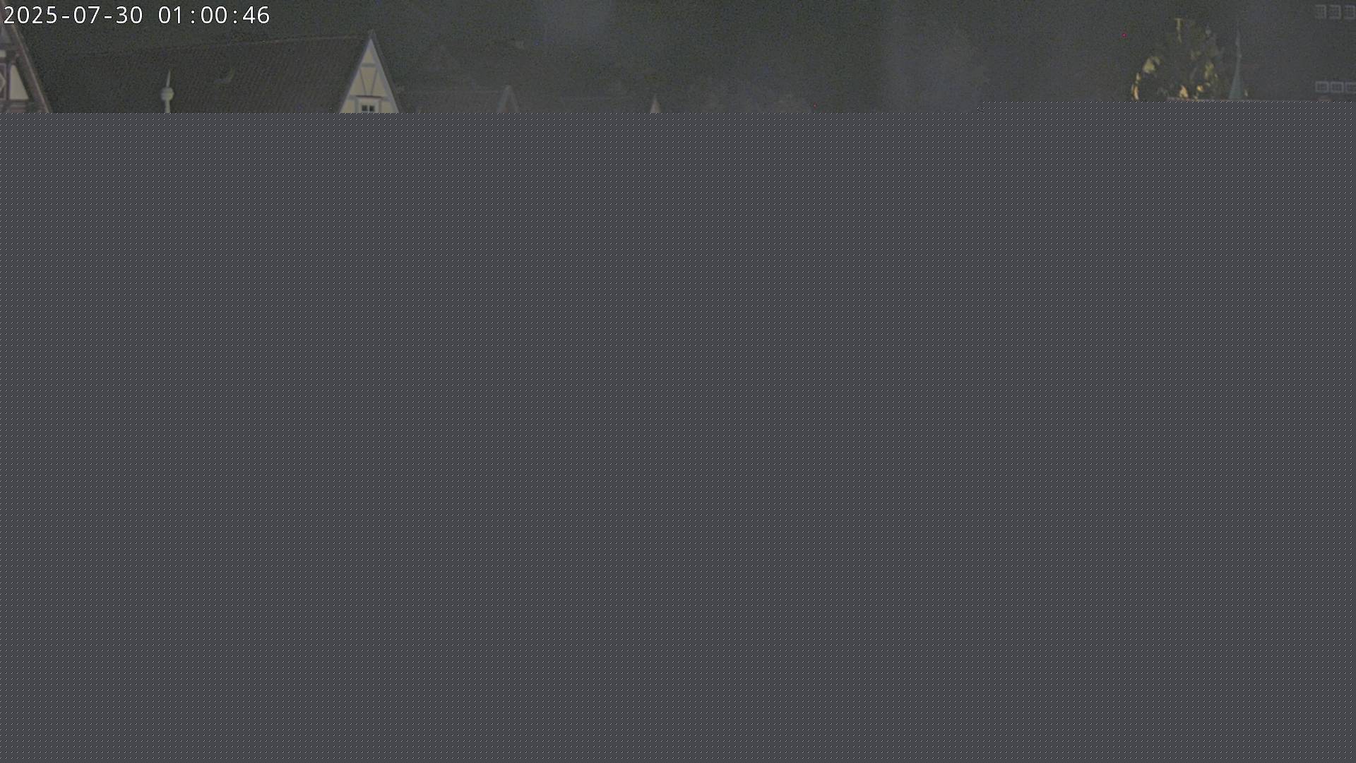 Bild webcam_20250730_010101_Fehler-LogNummer1452.jpg