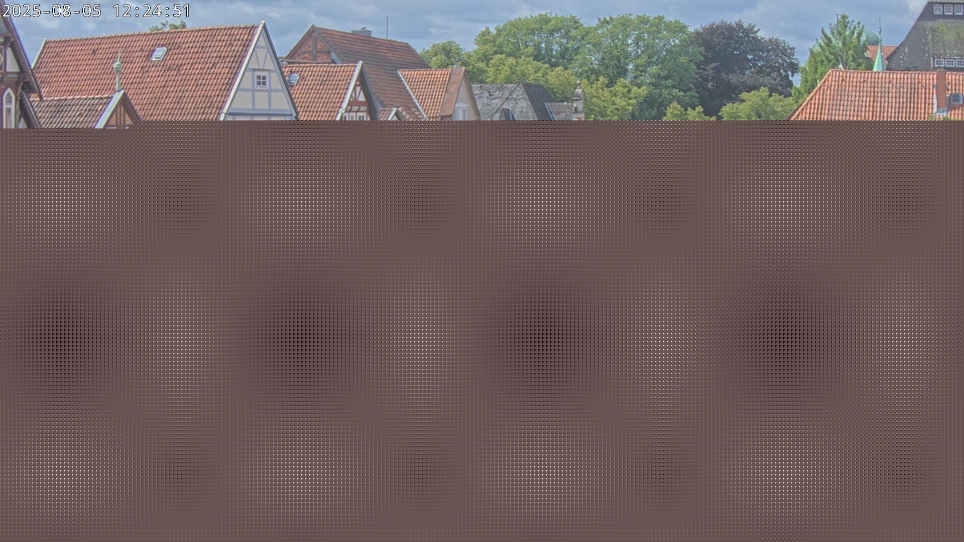 Bild webcam_20250805_122501_Fehler-LogNummer1709.jpg