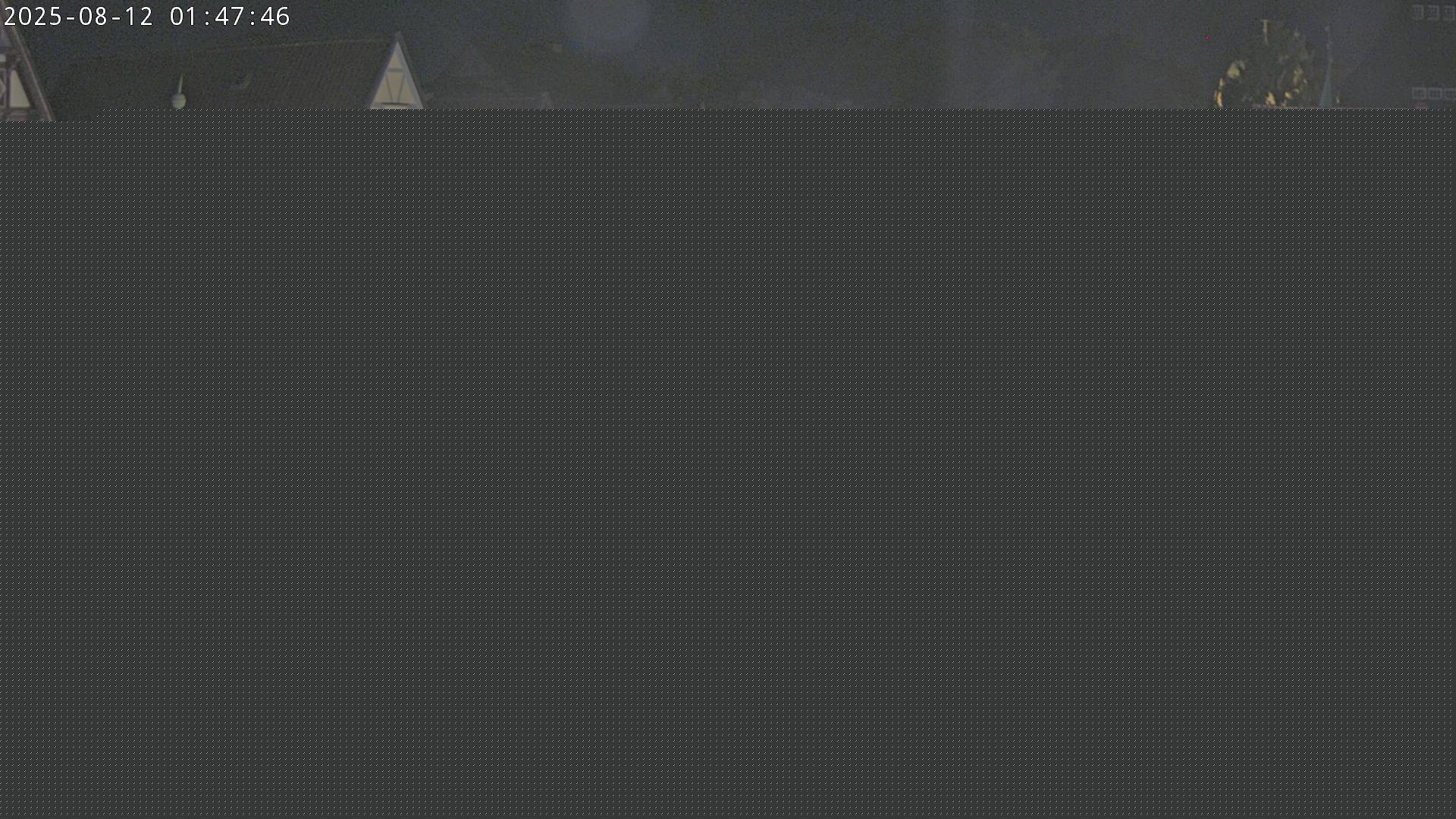 Bild webcam_20250812_014801_Fehler-LogNummer1970.jpg